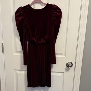 Express Velvet Burgundy Dress
